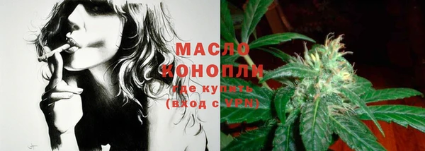 индика Горно-Алтайск
