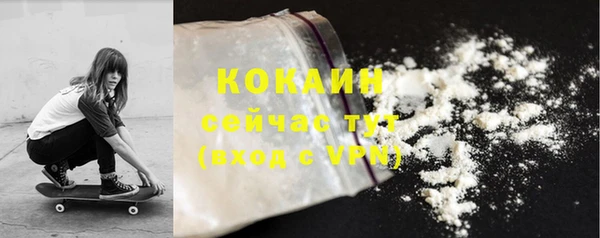 PSILOCYBIN Вяземский