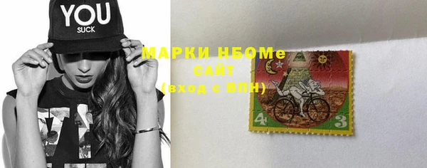 PSILOCYBIN Вяземский