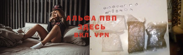 PSILOCYBIN Вяземский