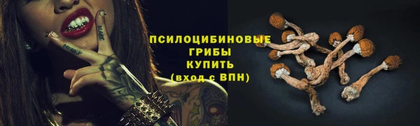 индика Горно-Алтайск