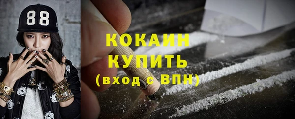 PSILOCYBIN Вяземский