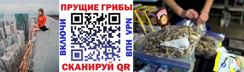 Галлюциногенные грибы GOLDEN TEACHER  Купить где  Ладушкин 